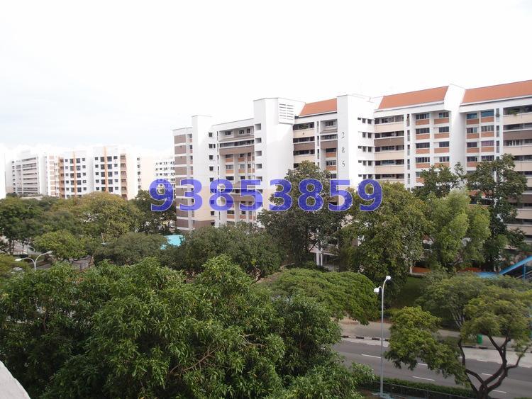 Blk 206 Tampines Street 21 (Tampines), HDB 3 Rooms #161668782